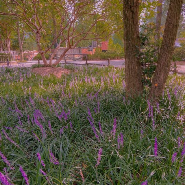 특별한 추억을 만들고 싶다면, 전주동물원으로✨