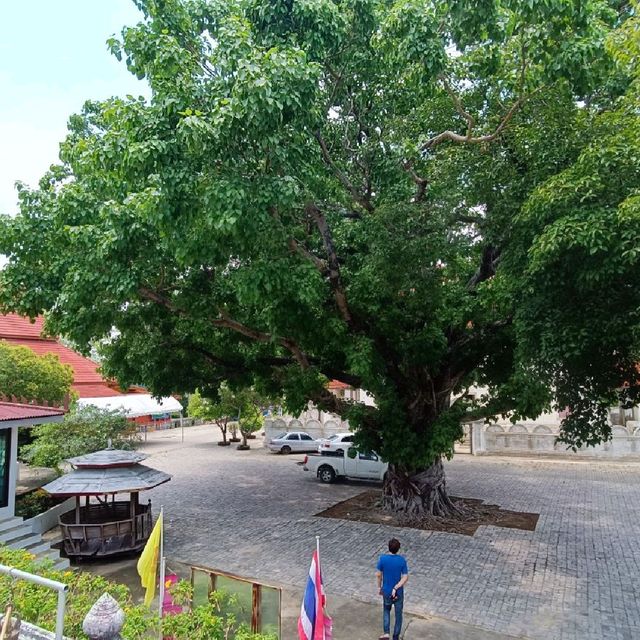 วัดเขาแก้ววรวิหาร วัดโบราณบนยอดเขา อ.เสาไห้