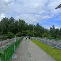 Coney Island Park