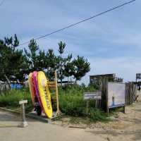 [양양] 파도타기 딱 좋아！ 서핑으로 유명한 서피비치 온전히 즐기는 법
