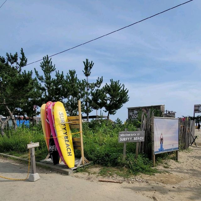 [양양] 파도타기 딱 좋아！ 서핑으로 유명한 서피비치 온전히 즐기는 법