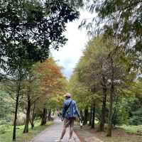 台北陽明山冷水坑