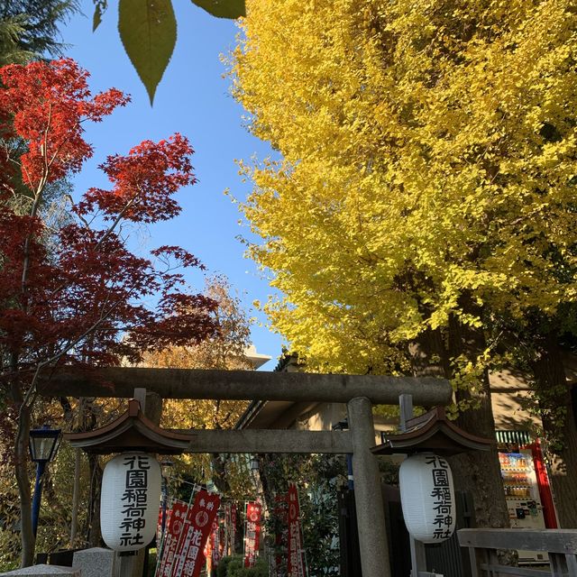 紅葉の上野公園はとても綺麗！