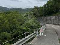 馬騮滿山的金山郊野公園