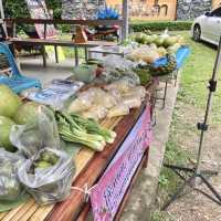 หลาดต้นเหนา