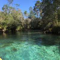 Crystal River at Weeki Wachee Springs