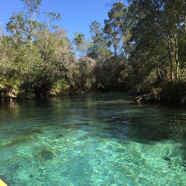 Crystal River at Weeki Wachee Springs