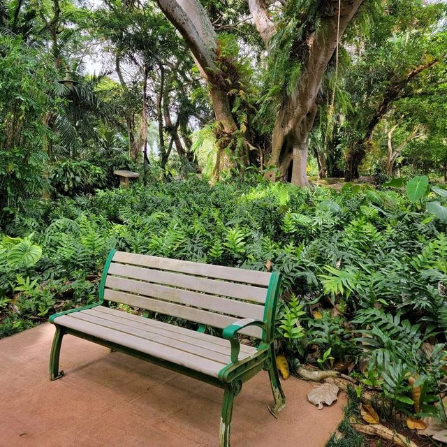 Get Lost in the Calm of Wahiawa