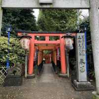 Relaxing Stroll at Ueno Park