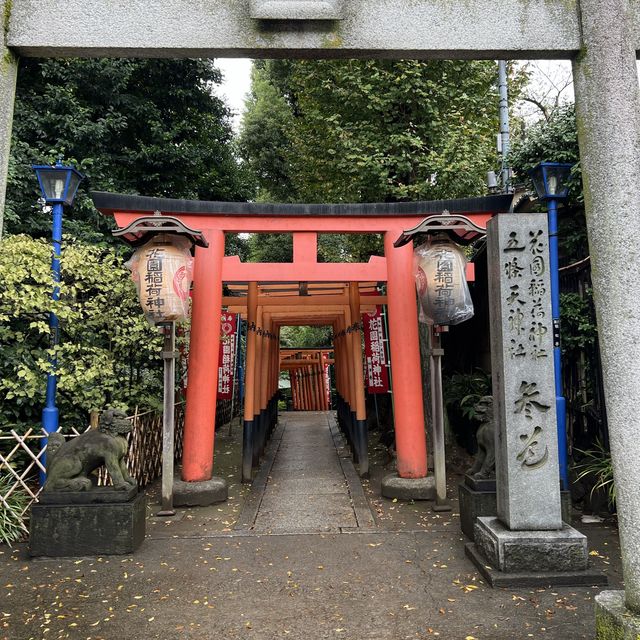 Relaxing Stroll at Ueno Park