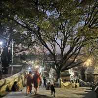 Pashupatinath temple 