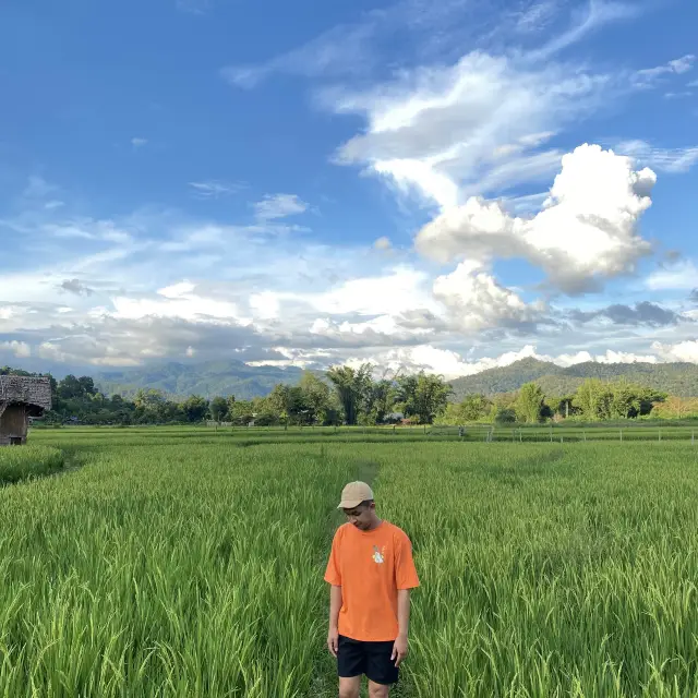 เมืองคอง เชียงดาว 