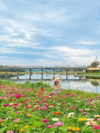 Enjoying flower viewing at Hwangryong River