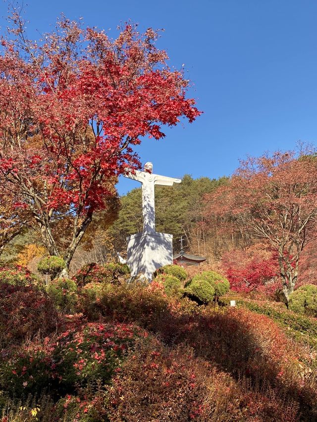 단풍명소 배론성지 🍁