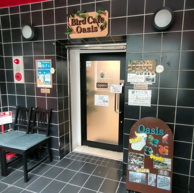 【大阪 東心斎橋】バードカフェで癒されちゃう🐦