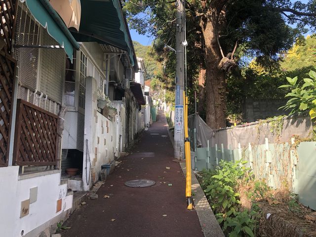 【神戸】大震災を乗り越えた神戸北野異人館街をご紹介