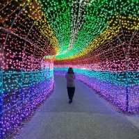 千葉県！ドイツ村のイルミネーションその③