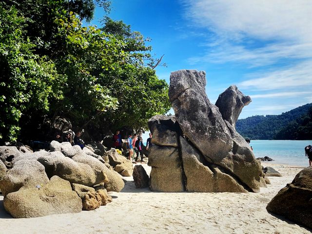 อุทยานแห่งชาติหมู่เกาะสุรินทร์ ปะการังยืนหนึ่ง 