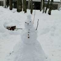 All things white: milk, snow (even cheese!)