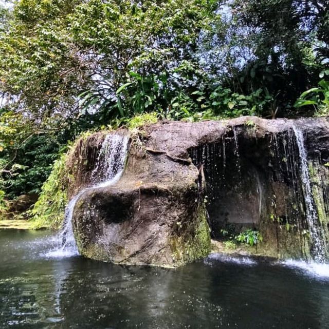 Wonderful Experience in Taiping Zoo