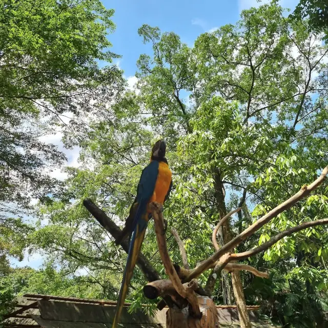 Zoo Negara With Kids