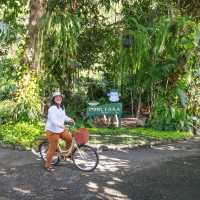 ที่พักกระบี่บรรยากาศดีริมลำธาร BluMonkey Pooltara