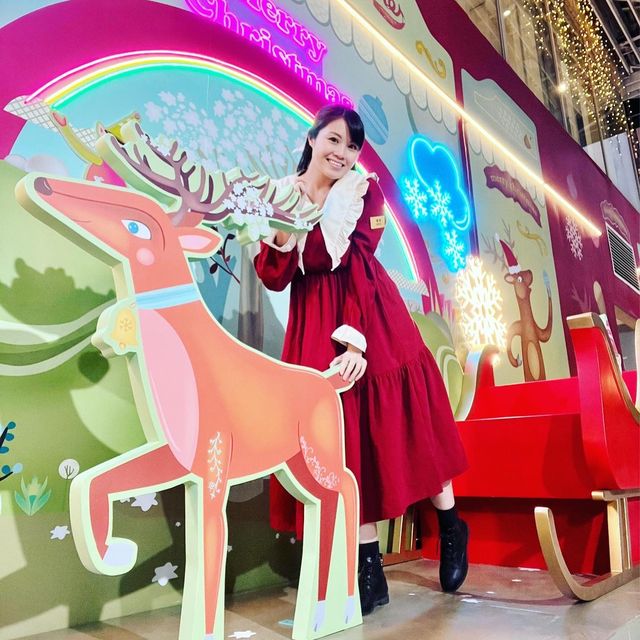 🎄 「怪誕森林奇遇記」✨