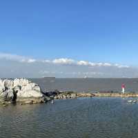 吳淞炮台灣濕地森林公園