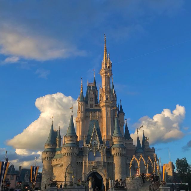 Walt Disney, 행복을 전하다 💙
