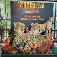 Tiger Kingdom Phuket 