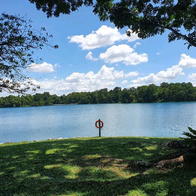 Picnic date at the Peirce Reservoir 🌲