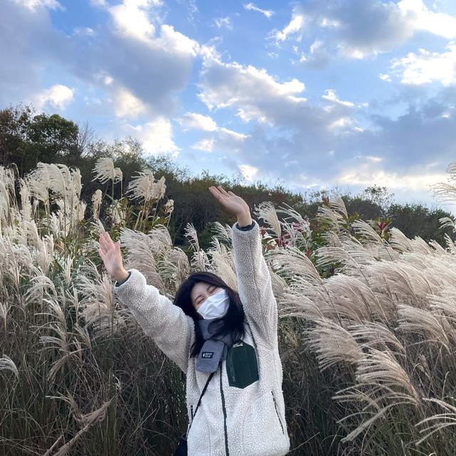 강원도 강릉시 호린파크에서 해외를 느껴보세요