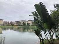 澳門大學🎓文青體驗