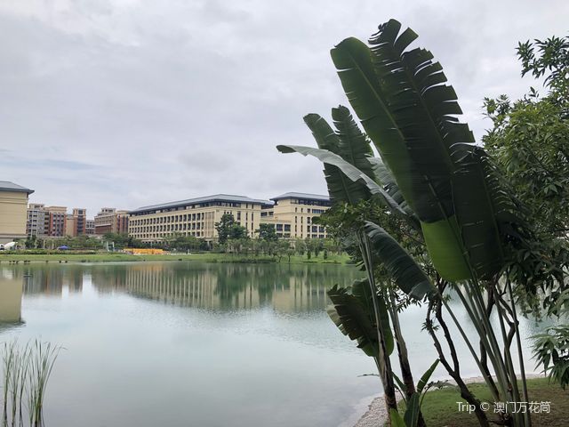 澳門大學🎓文青體驗