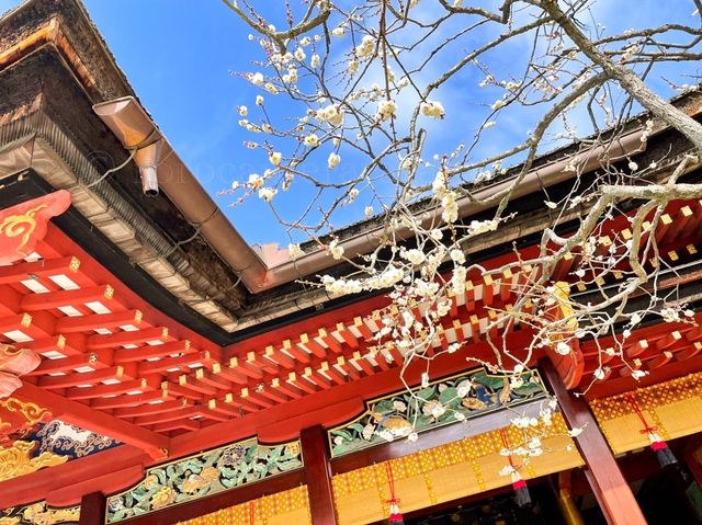 学問の神⛩福岡県太宰府天満宮