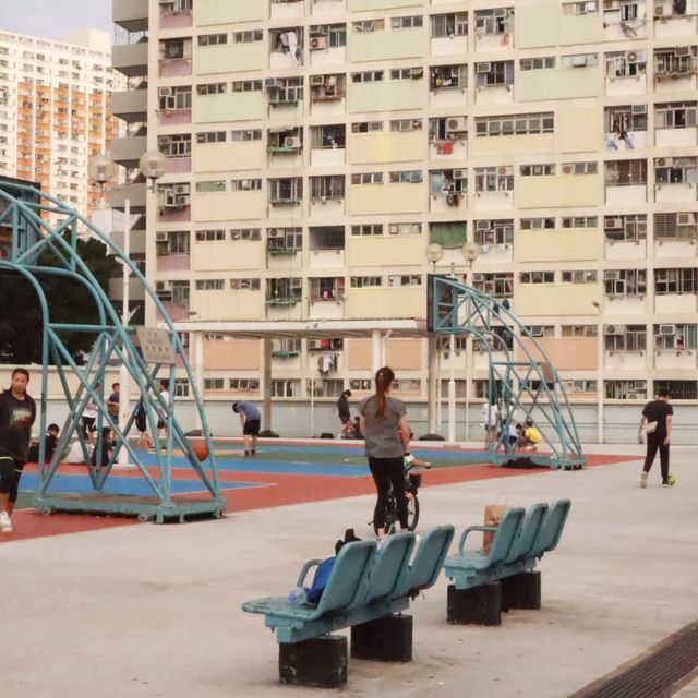 彩虹底下的人🌈