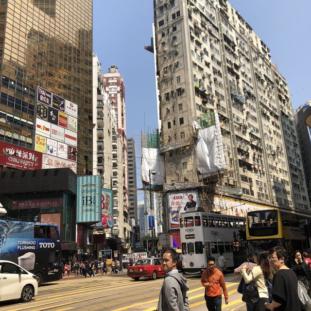 여름이면 생각나는 홍콩여행 