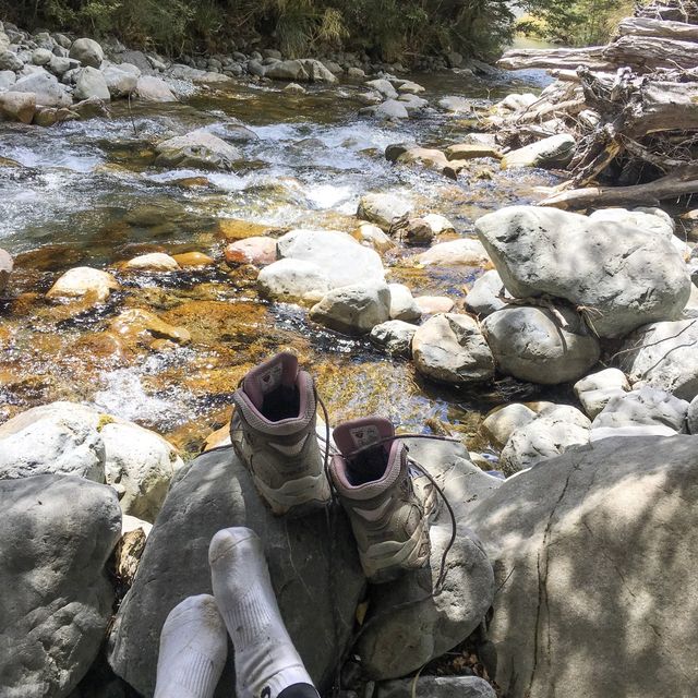 뉴질랜드 대자연🇳🇿 남섬의 트레킹 코스를 소개합니다⛰