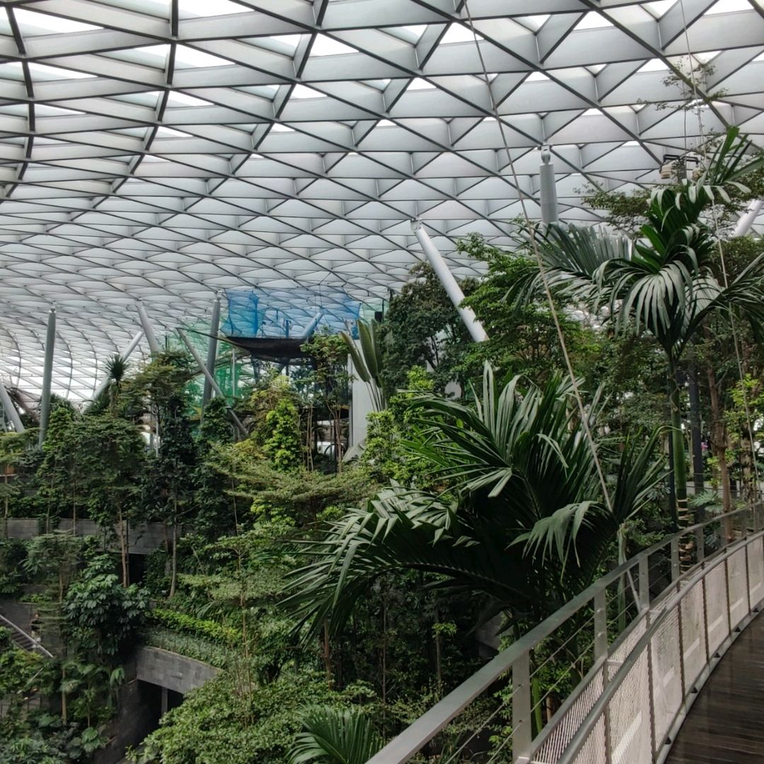 Singapore's Changi Airport Is Getting a Canopy Bridge and Two Mazes