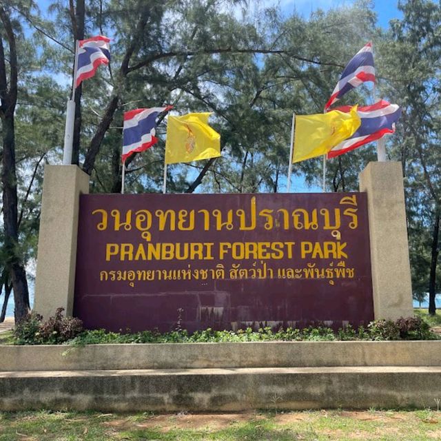 ชมป่าชายเลน @วนอุทยานปราณบุรี 