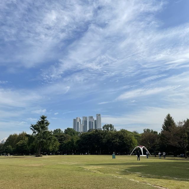 요즘 날씨에 딱, 멍 때리기 좋은 서울숲 공원