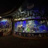 Vin Wonder in Nha Trang