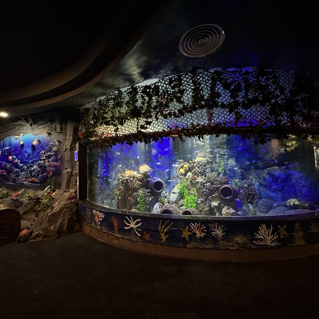 Vin Wonder in Nha Trang