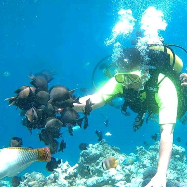 Snorkeling at the world's famous marine park