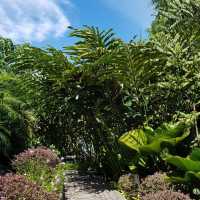 Rumah Hutan Terapi Alam (Bonda Rozita)