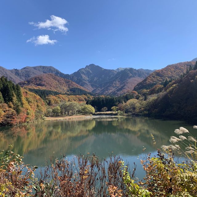 大源太キャニオンで自然を満喫👍