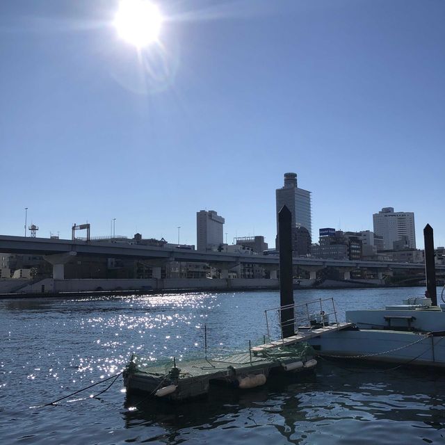 【隅田川】春のウララでなくても…zzz