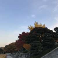 올림픽공원에서 단풍 즐기기🍁🍂