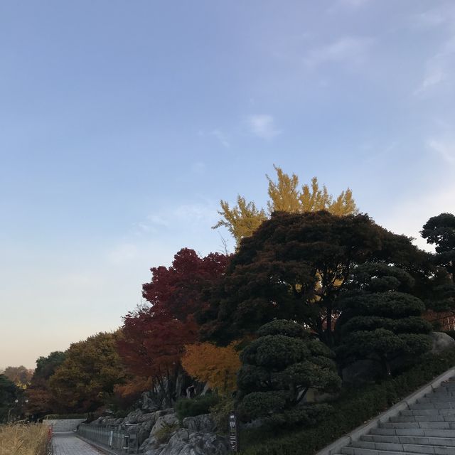 올림픽공원에서 단풍 즐기기🍁🍂