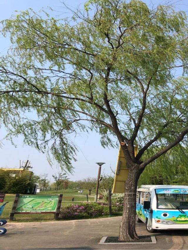 韓國 天空公園｜ 打卡景點